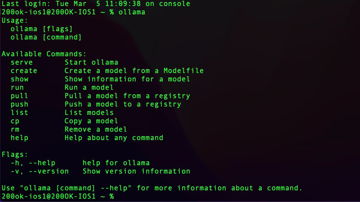 How to Build Your Own Offline ChatGPT Using Ollama and Large Language ...
