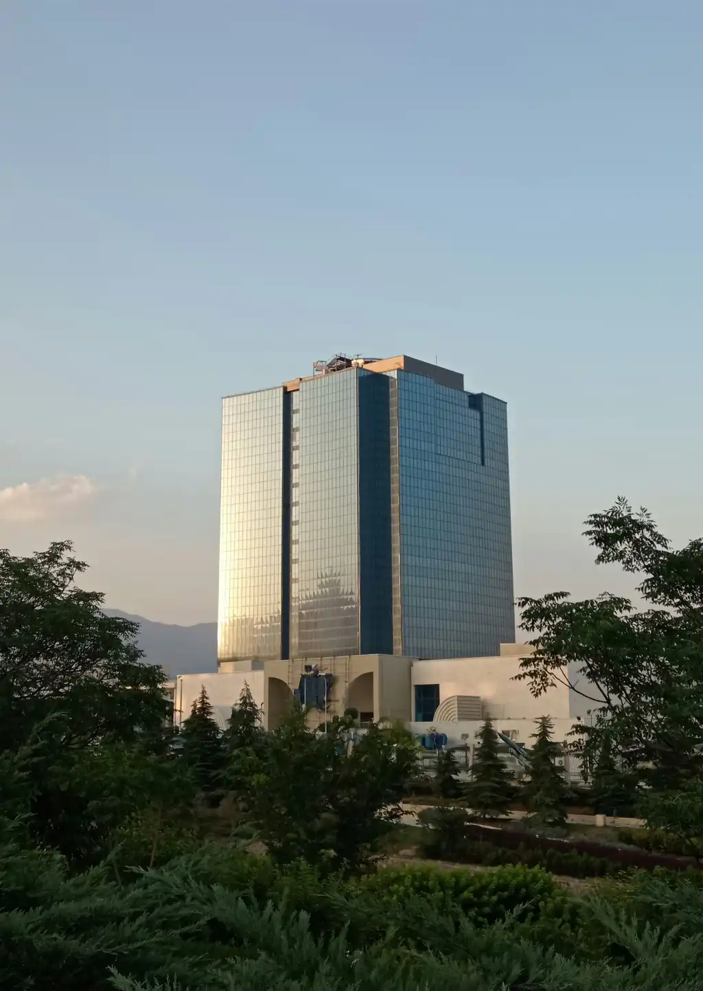 Large Enterprises